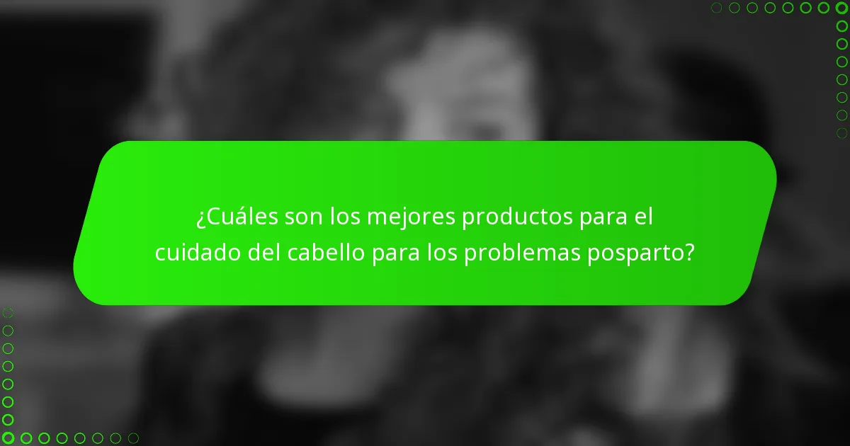 ¿Cuáles son los mejores productos para el cuidado del cabello para los problemas posparto?
