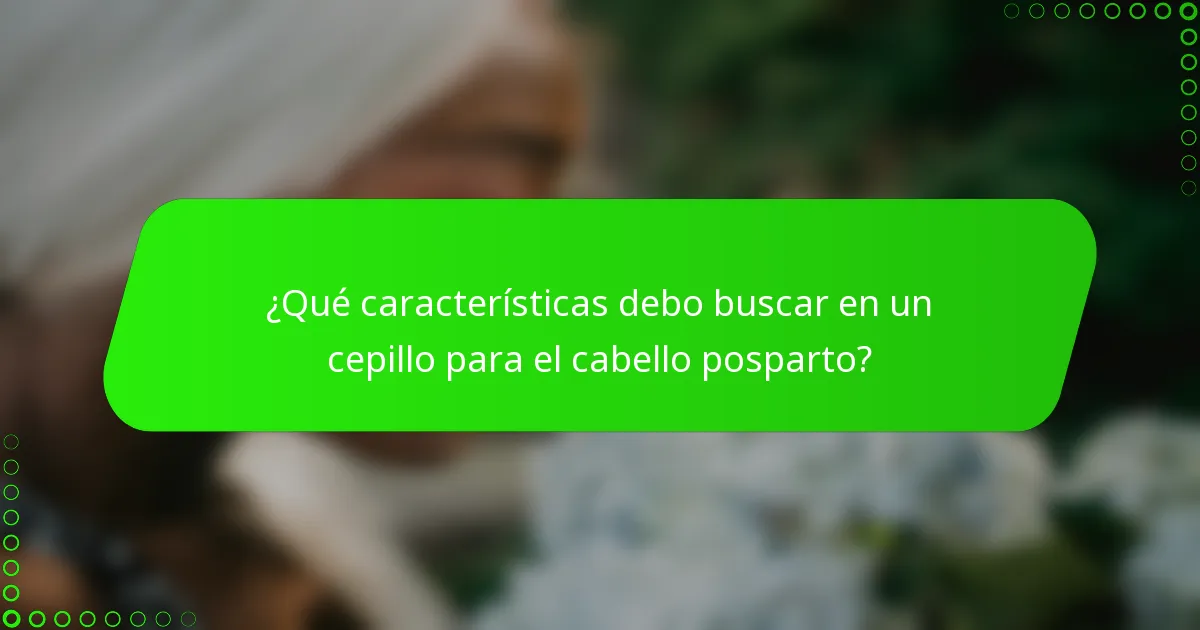 ¿Qué características debo buscar en un cepillo para el cabello posparto?