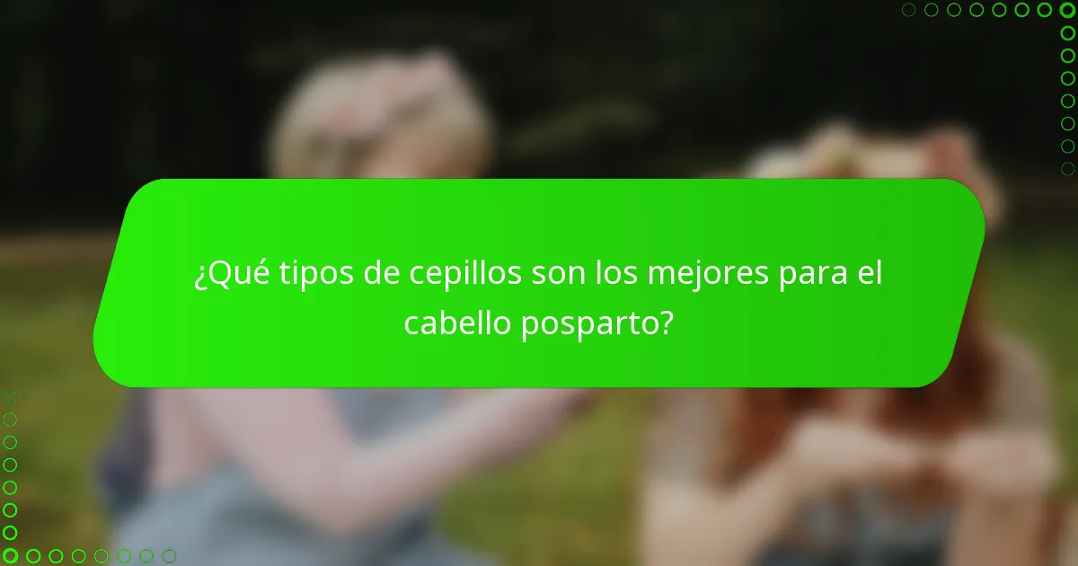 ¿Qué tipos de cepillos son los mejores para el cabello posparto?